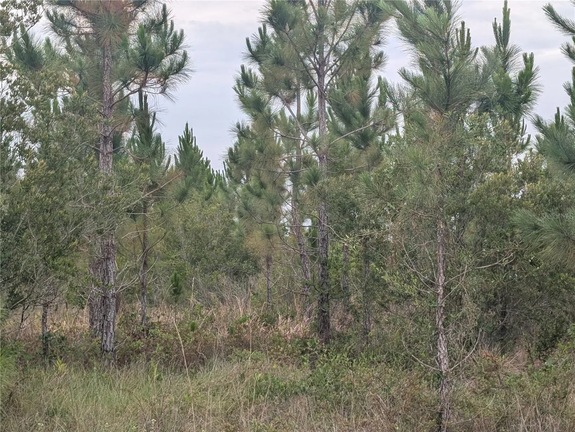 221 Tropicana Drive Indian Lake Estates FL 33855