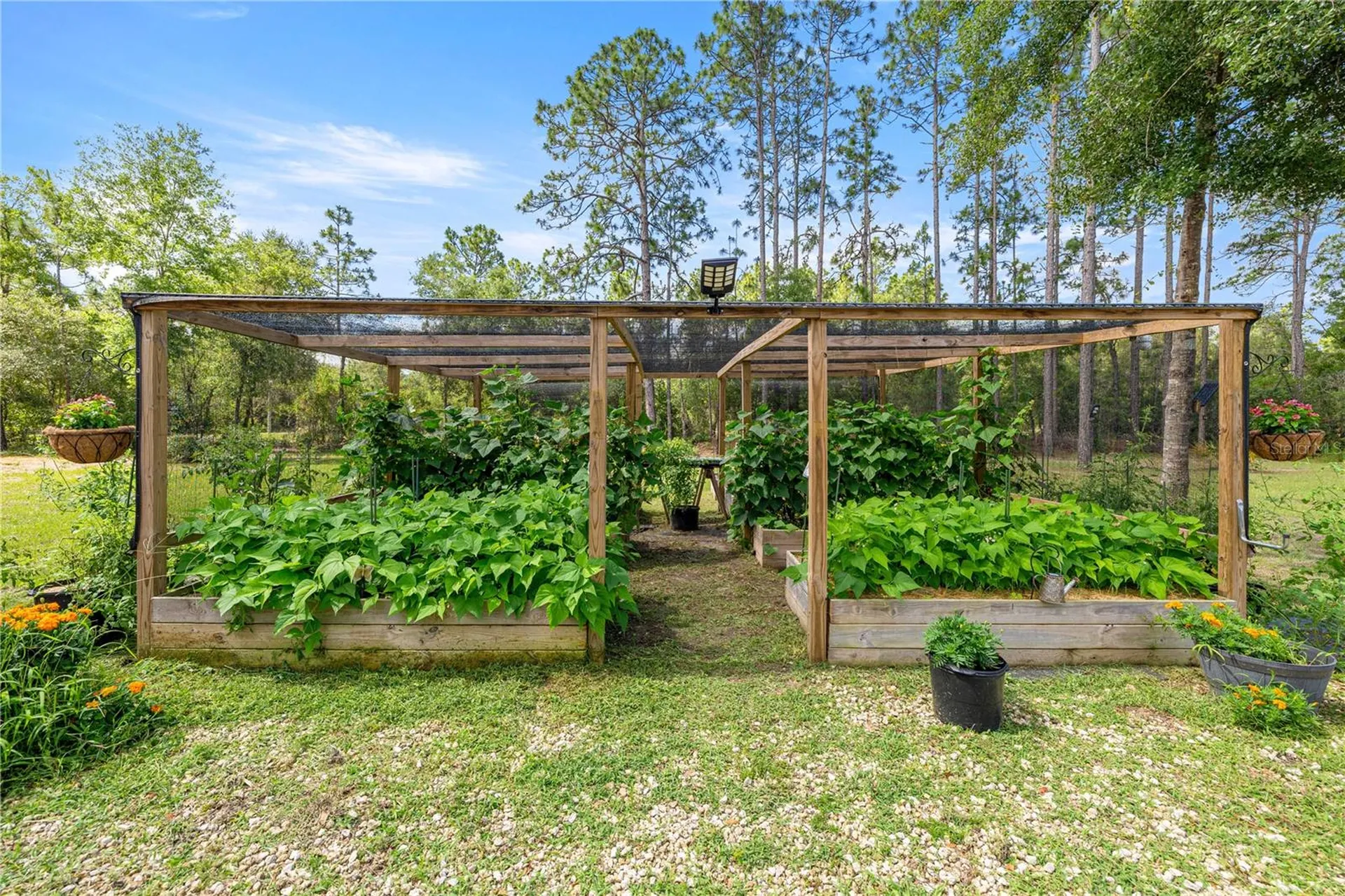 3372 W Webster Place Citrus Springs FL 34433