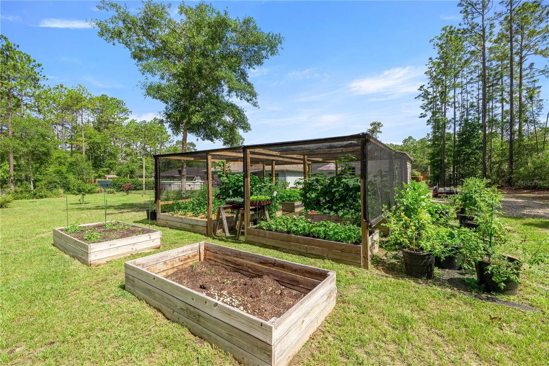 3372 W Webster Place Citrus Springs FL 34433