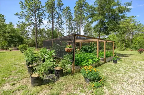 3372 W Webster Place Citrus Springs FL 34433