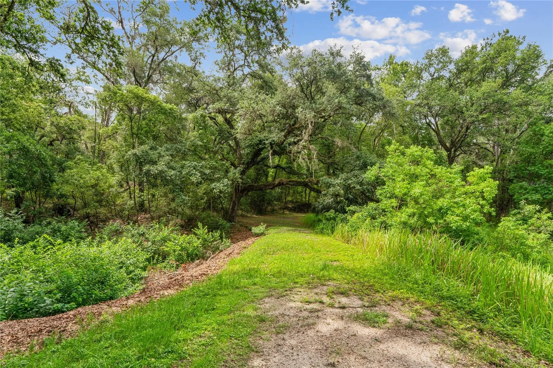 26168 Blackjack Street Brooksville FL 34601