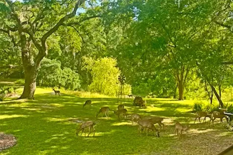 26168 Blackjack Street Brooksville FL 34601