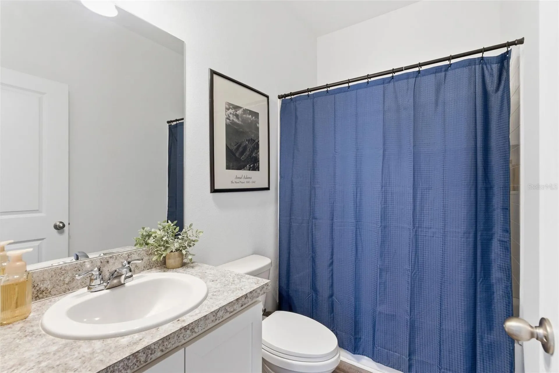 35498 Shade Fern Lane Zephyrhills FL 33541