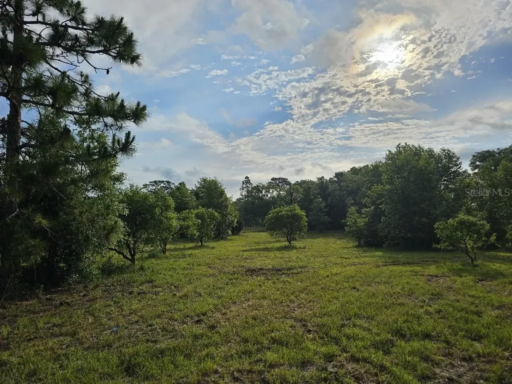 0 SW Spirit Ave Avenue Fort White FL 32038
