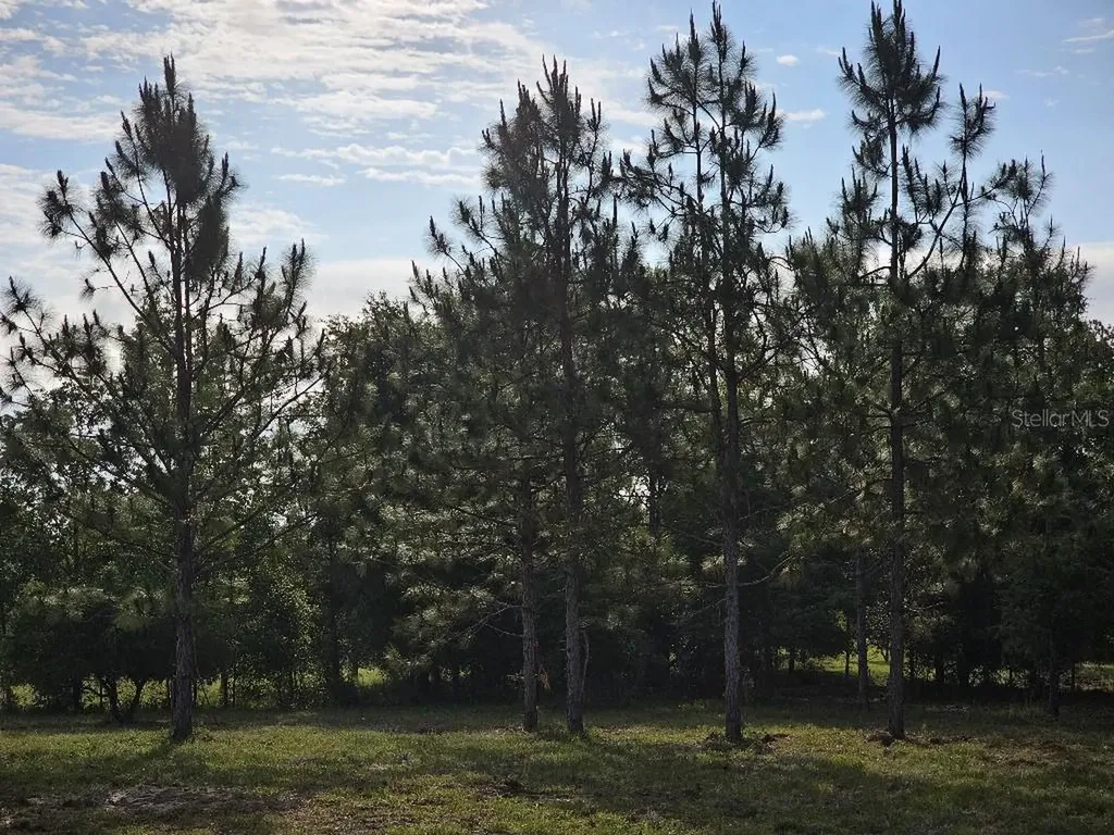 0 SW Spirit Ave Avenue Fort White FL 32038