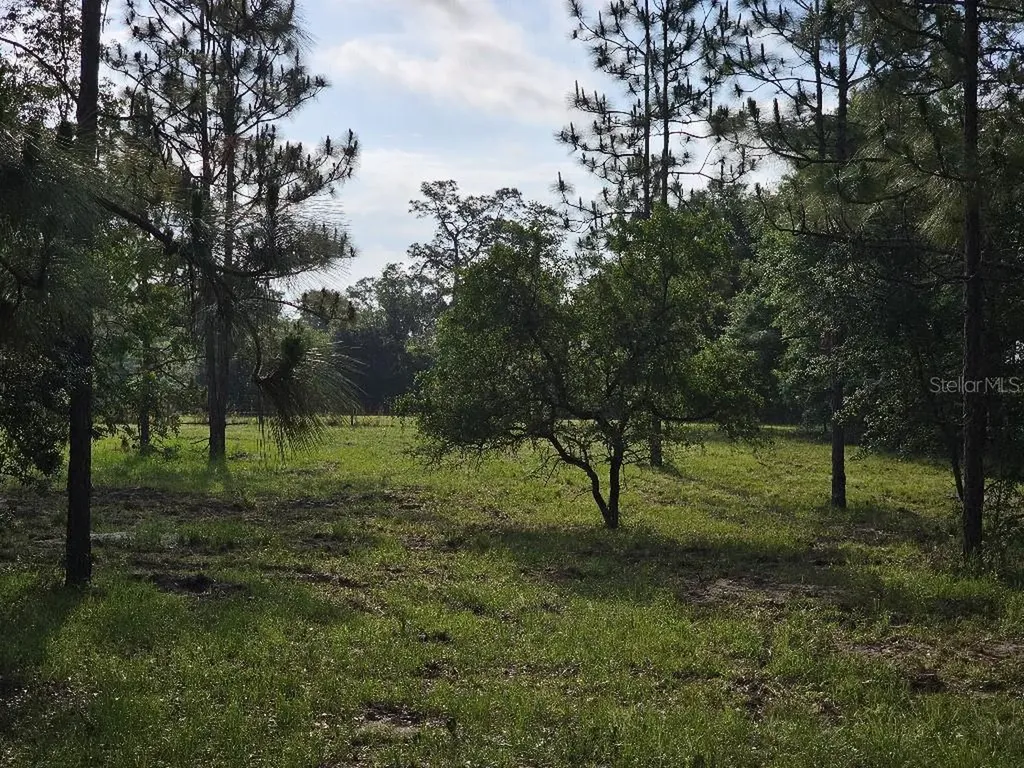 0 SW Spirit Ave Avenue Fort White FL 32038