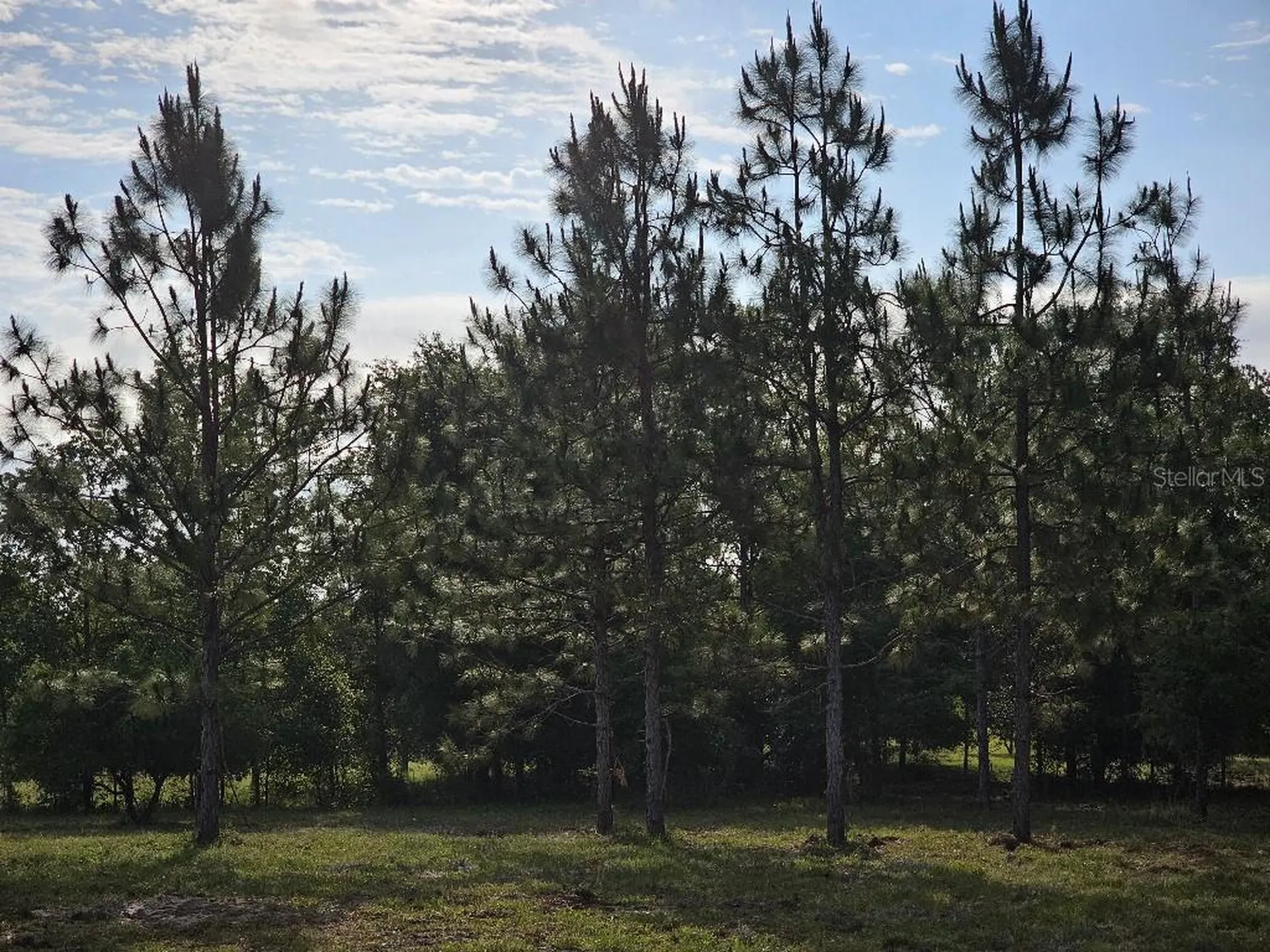 0 SW Spirit Ave Avenue Fort White FL 32038