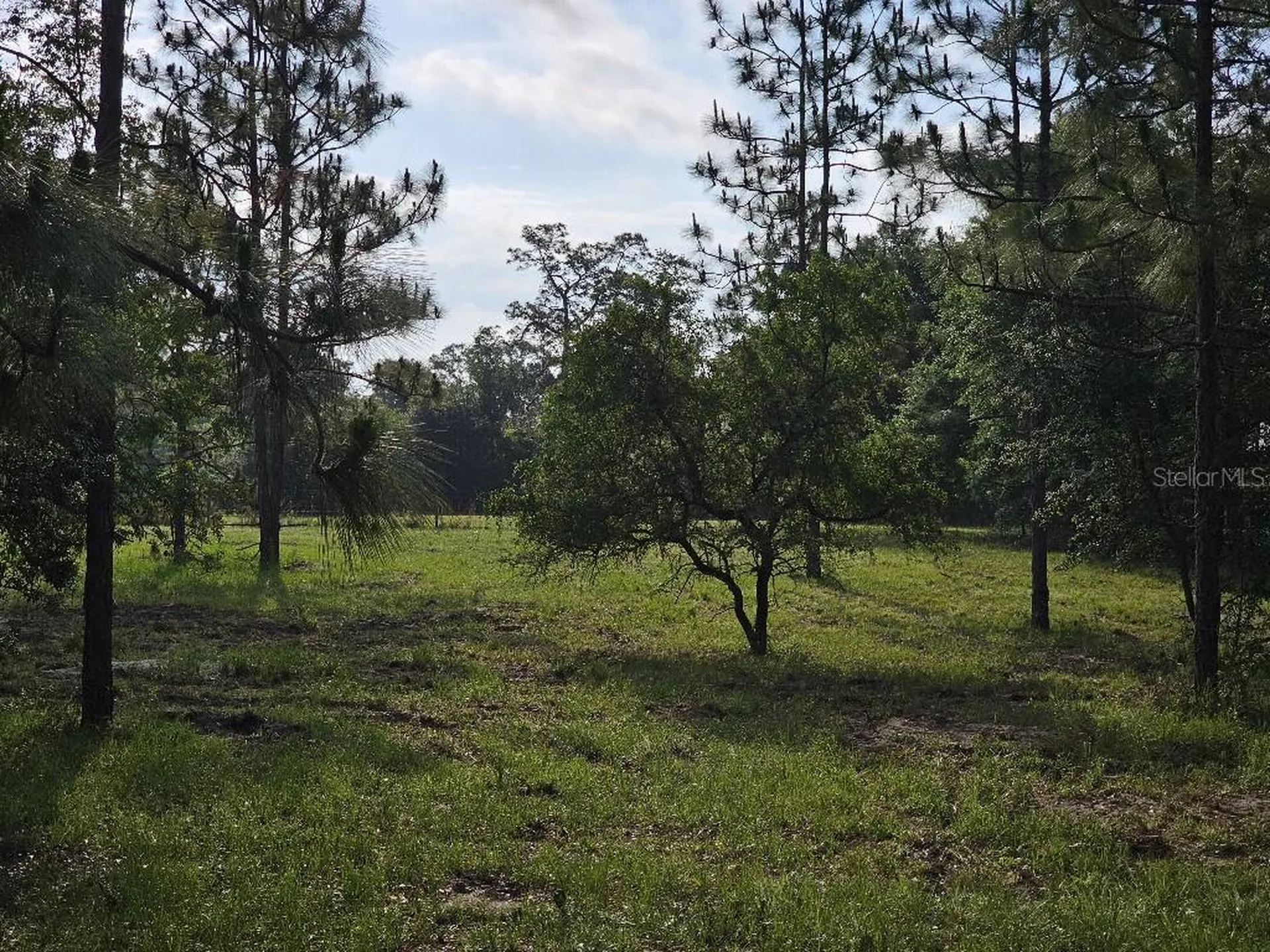 0 SW Spirit Ave Avenue Fort White FL 32038