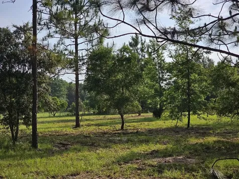 0 SW Spirit Ave Avenue Fort White FL 32038