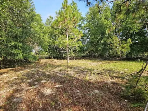 0 SW Spirit Ave Avenue Fort White FL 32038