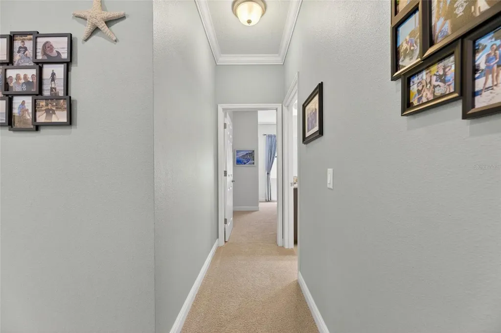 204 Dakota Hill Drive Seffner FL 33584