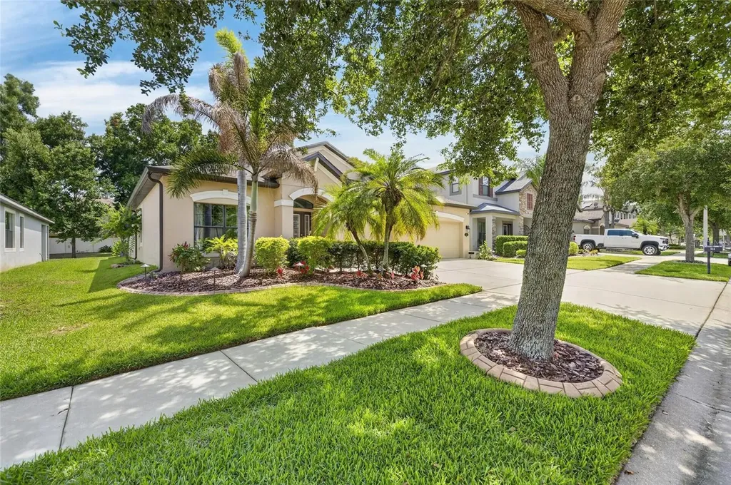 204 Dakota Hill Drive Seffner FL 33584