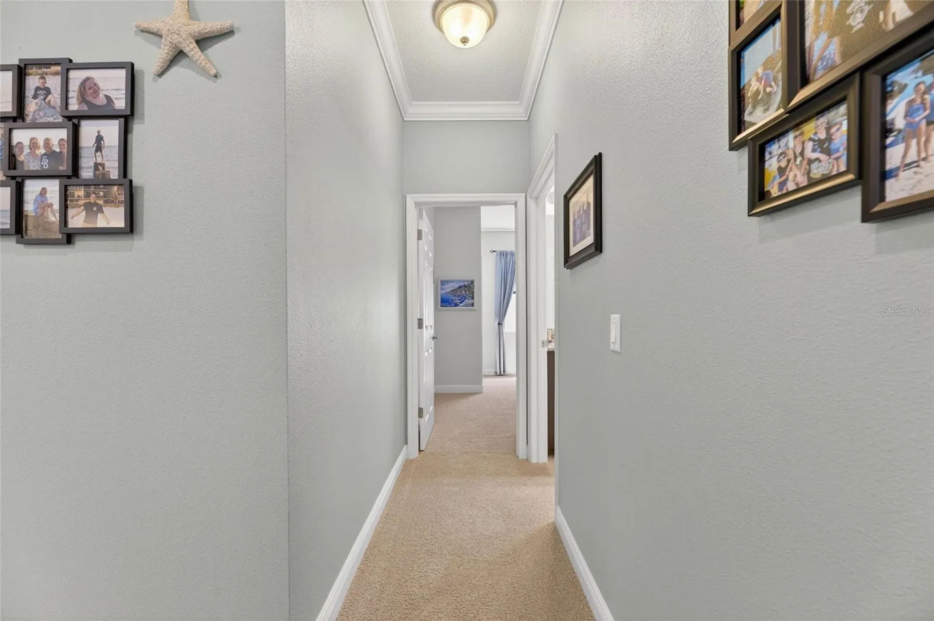 204 Dakota Hill Drive Seffner FL 33584
