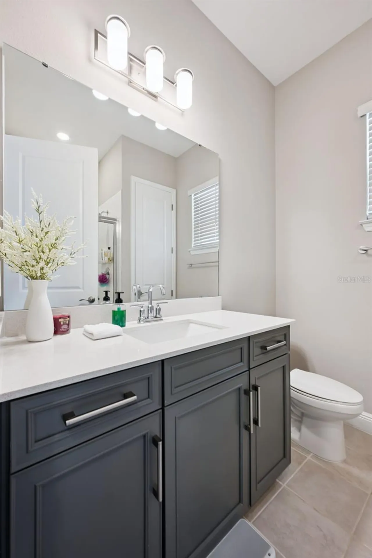 16379 Silver Grove Boulevard Winter Garden FL 34787