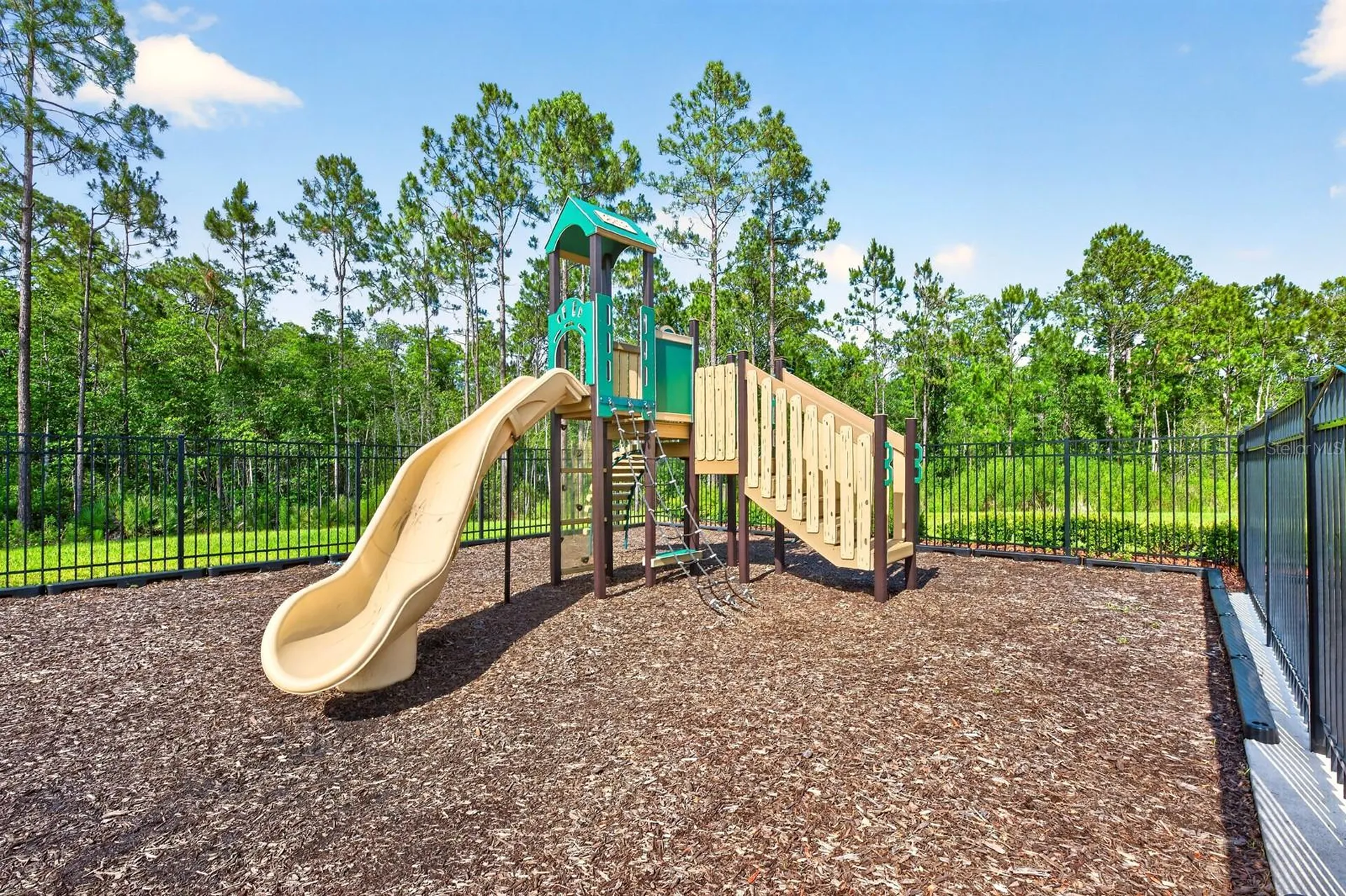 4107 Calusa Pine Road Daytona Beach FL 32124