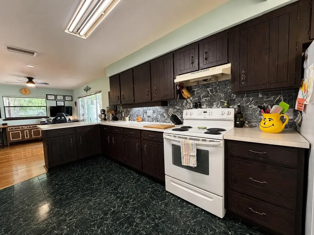 1724 SE 164th Circle Ocklawaha FL 32179