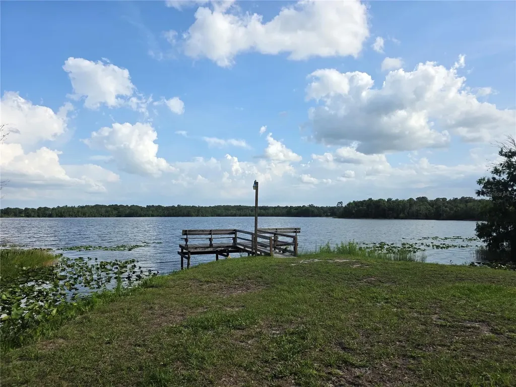1724 SE 164th Circle Ocklawaha FL 32179