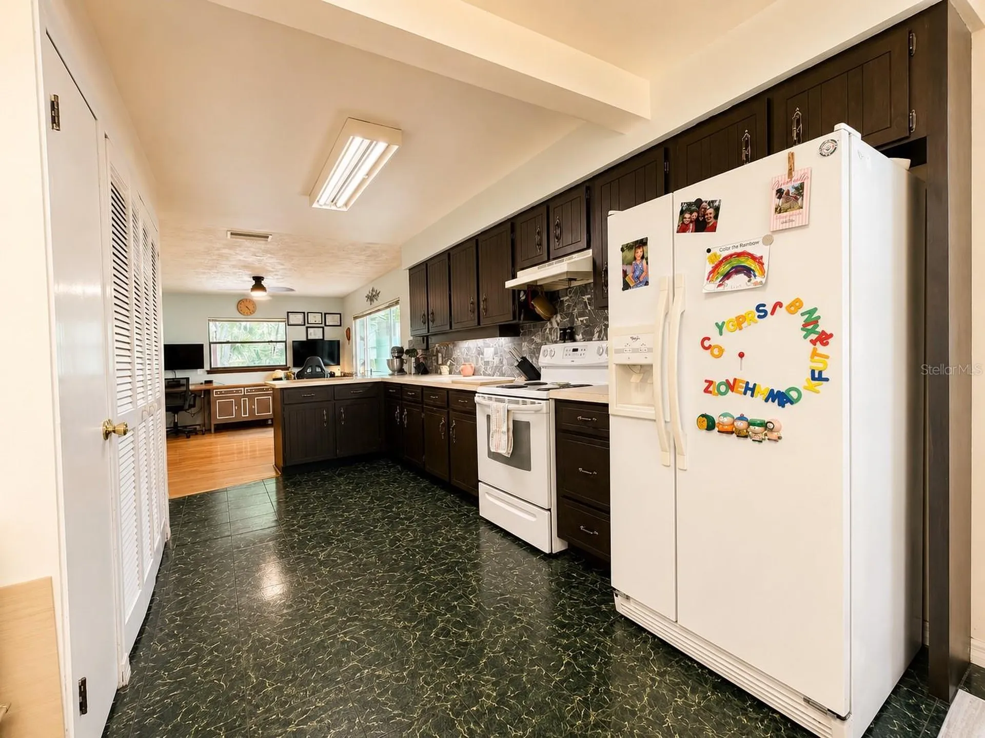 1724 SE 164th Circle Ocklawaha FL 32179