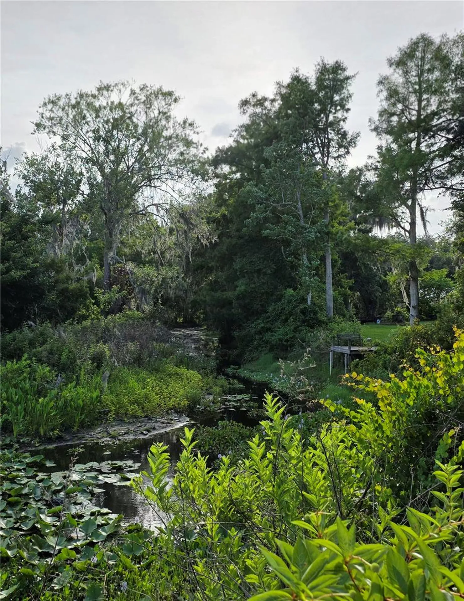 1724 SE 164th Circle Ocklawaha FL 32179