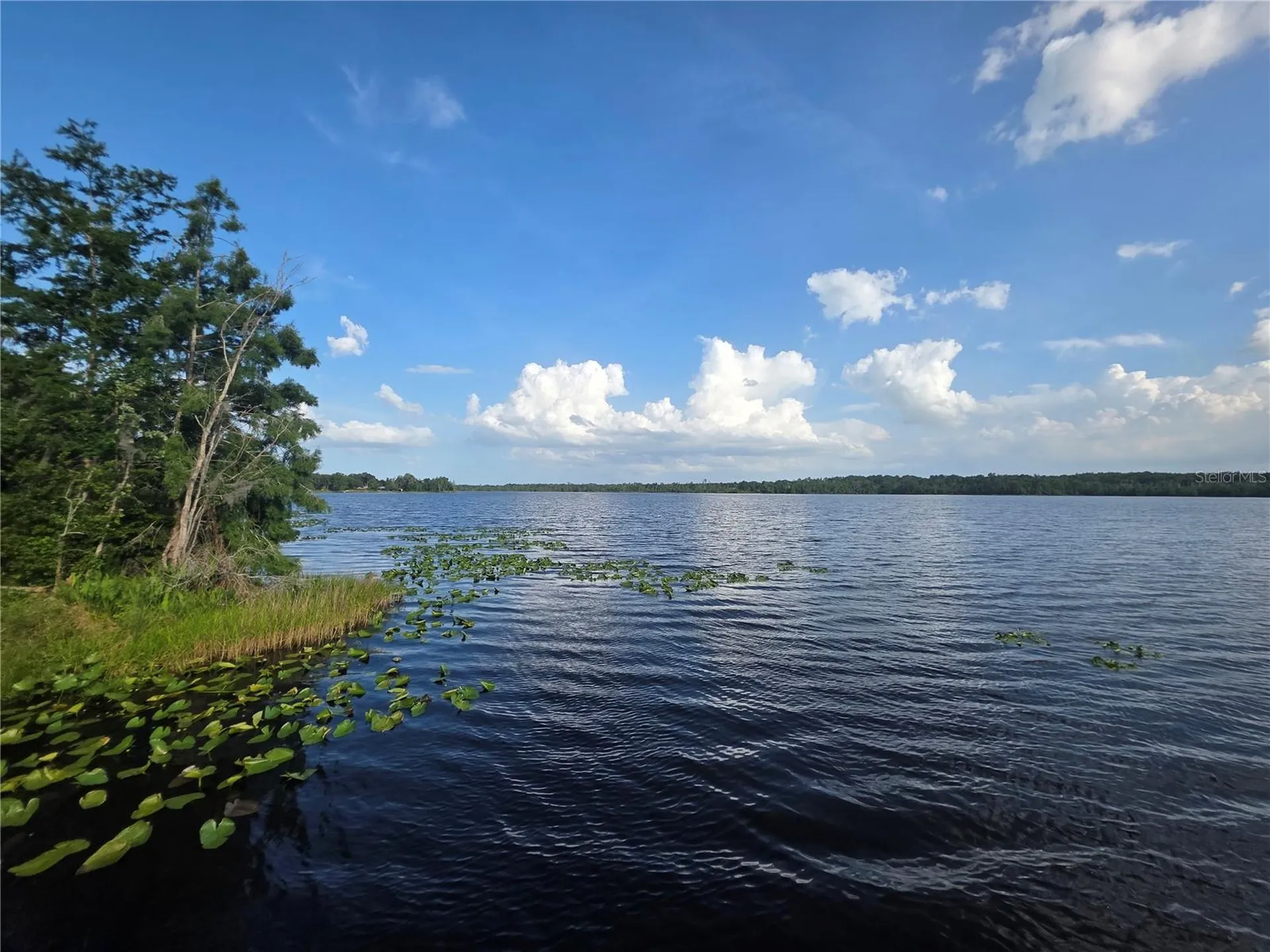 1724 SE 164th Circle Ocklawaha FL 32179