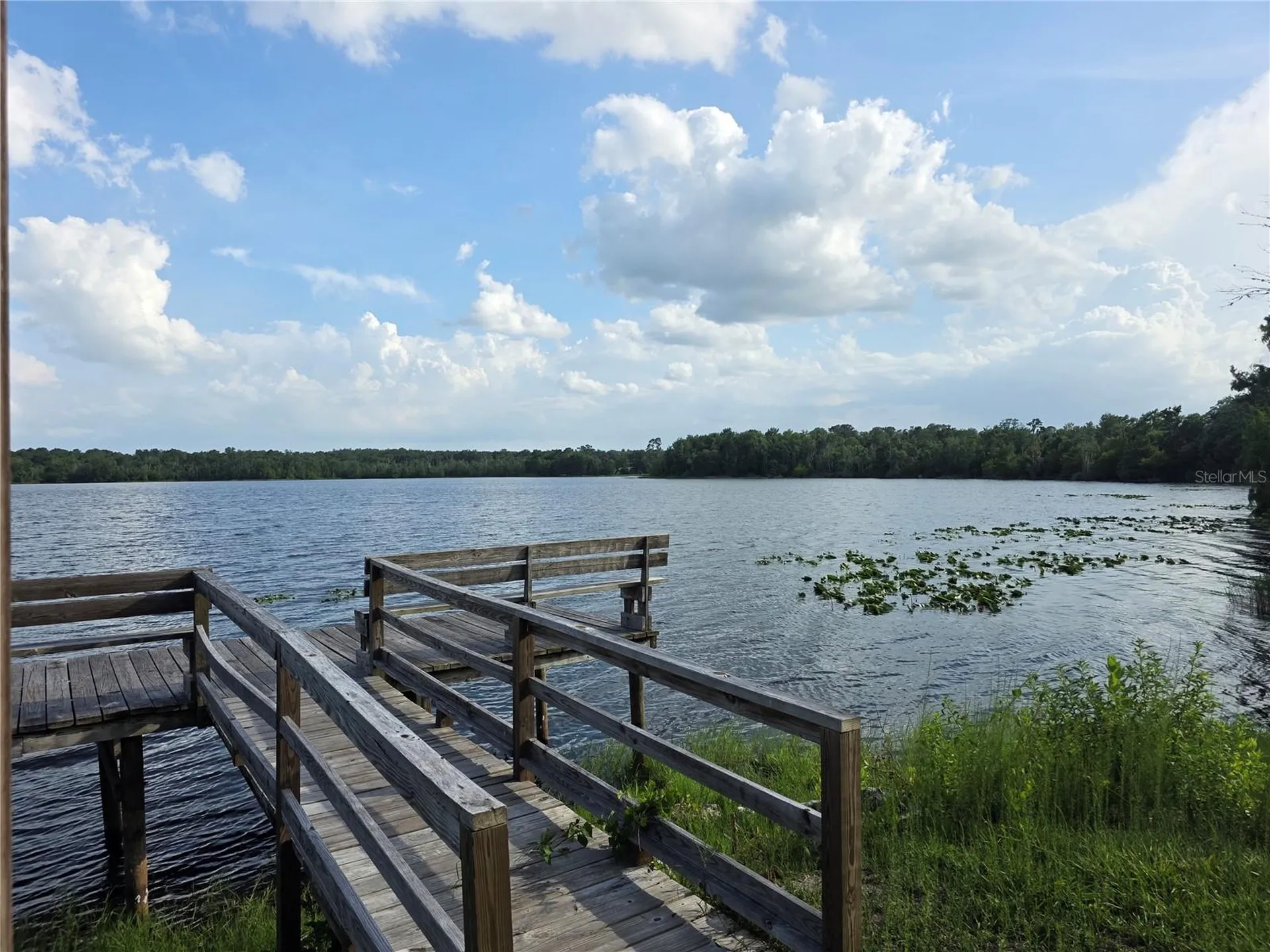 1724 SE 164th Circle Ocklawaha FL 32179