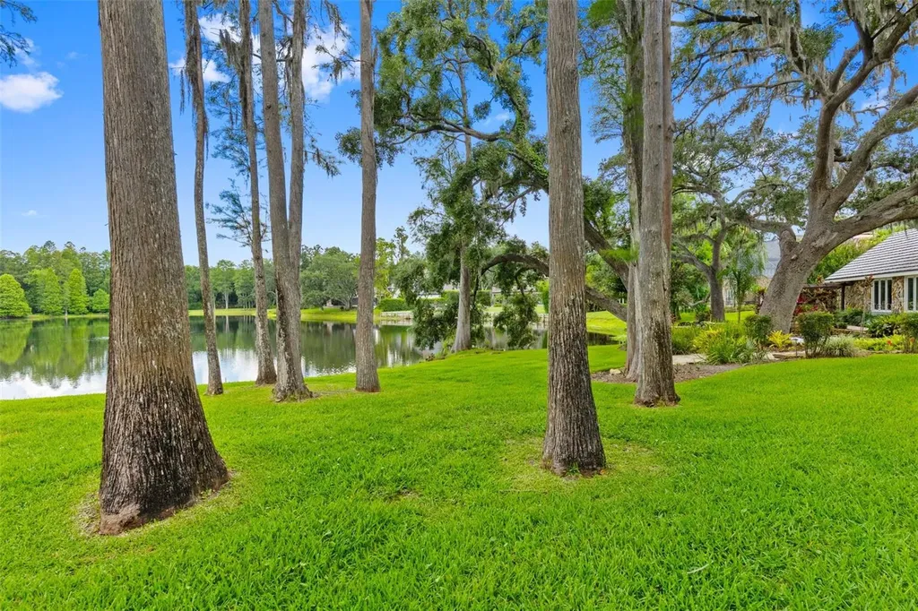 16310 Avila Boulevard Tampa FL 33613