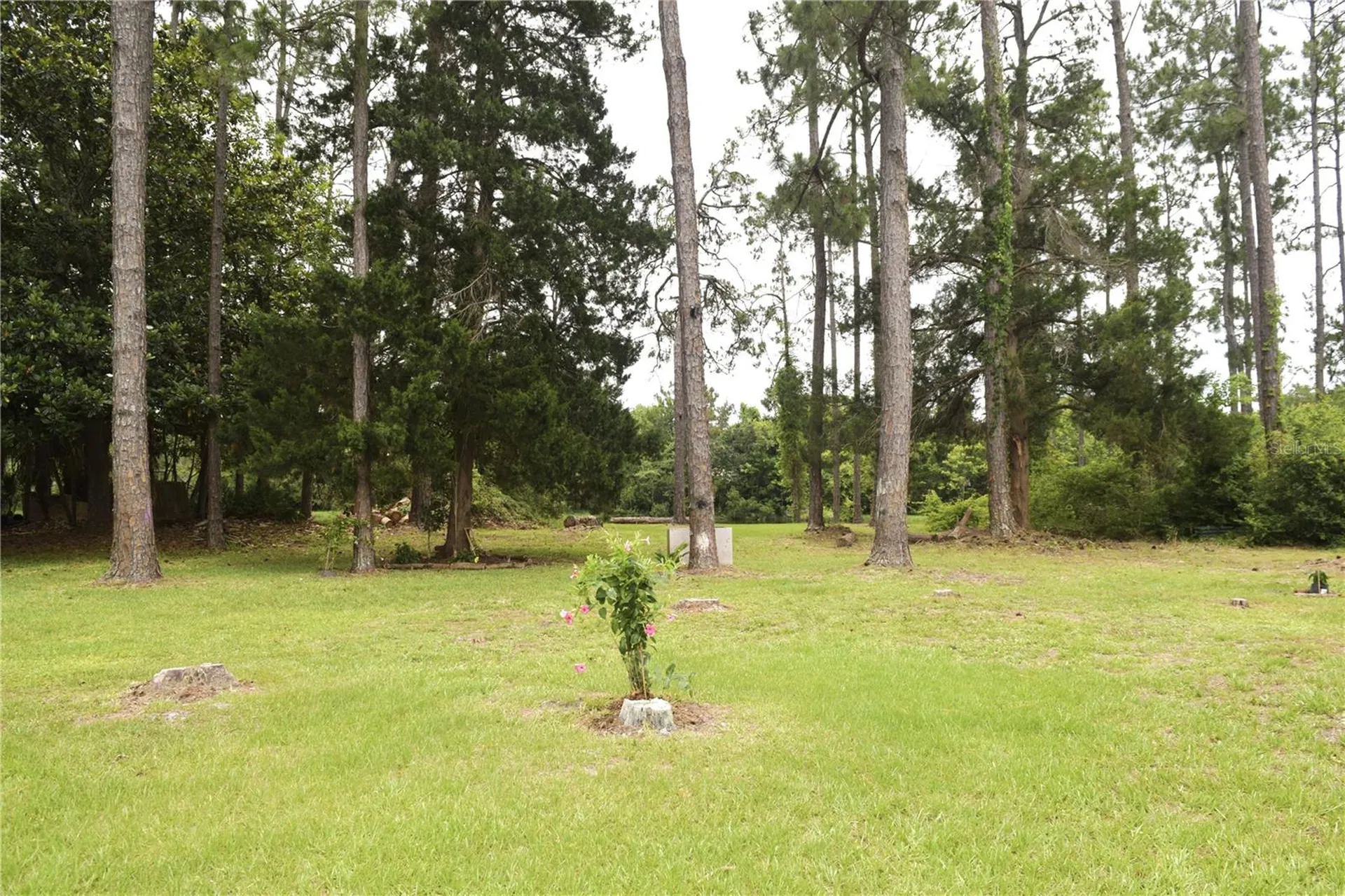 134 Beechwood Lane Palm Coast FL 32137