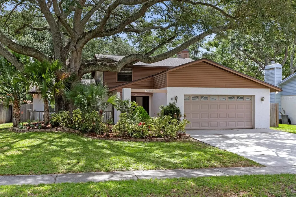 12603 Rain Forest Street Temple Terrace FL 33617