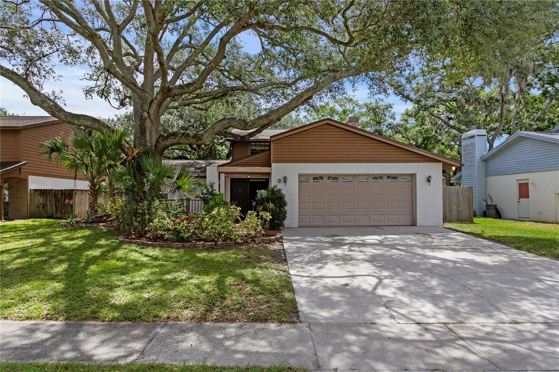 12603 Rain Forest Street Temple Terrace FL 33617