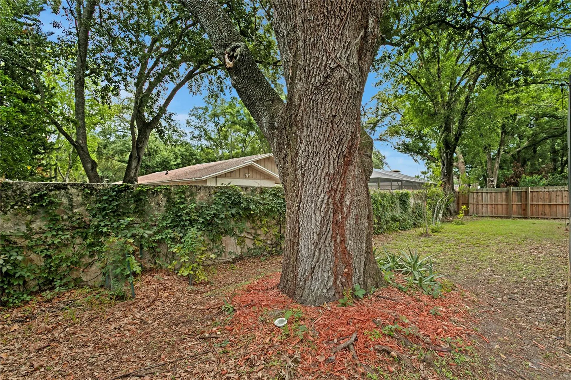 12603 Rain Forest Street Temple Terrace FL 33617