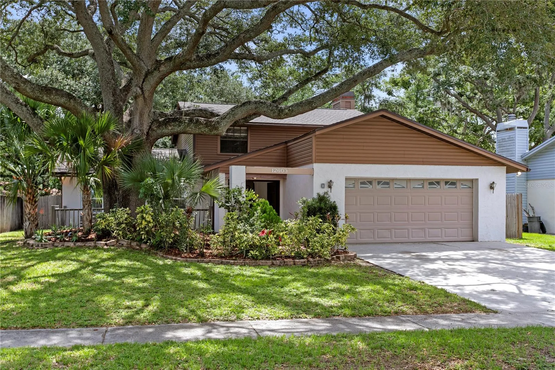 12603 Rain Forest Street Temple Terrace FL 33617