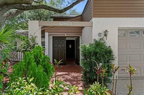 12603 Rain Forest Street Temple Terrace FL 33617