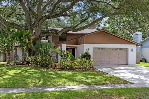 12603 Rain Forest Street Temple Terrace FL 33617