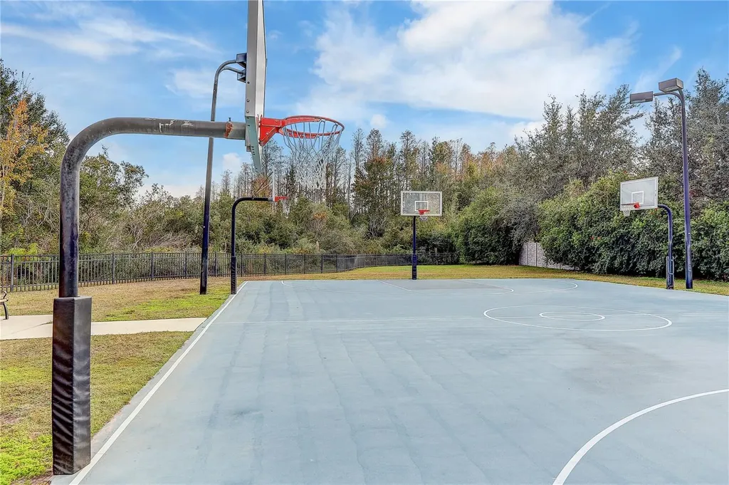 8758 Crystal Creek Court Land O Lakes FL 34638