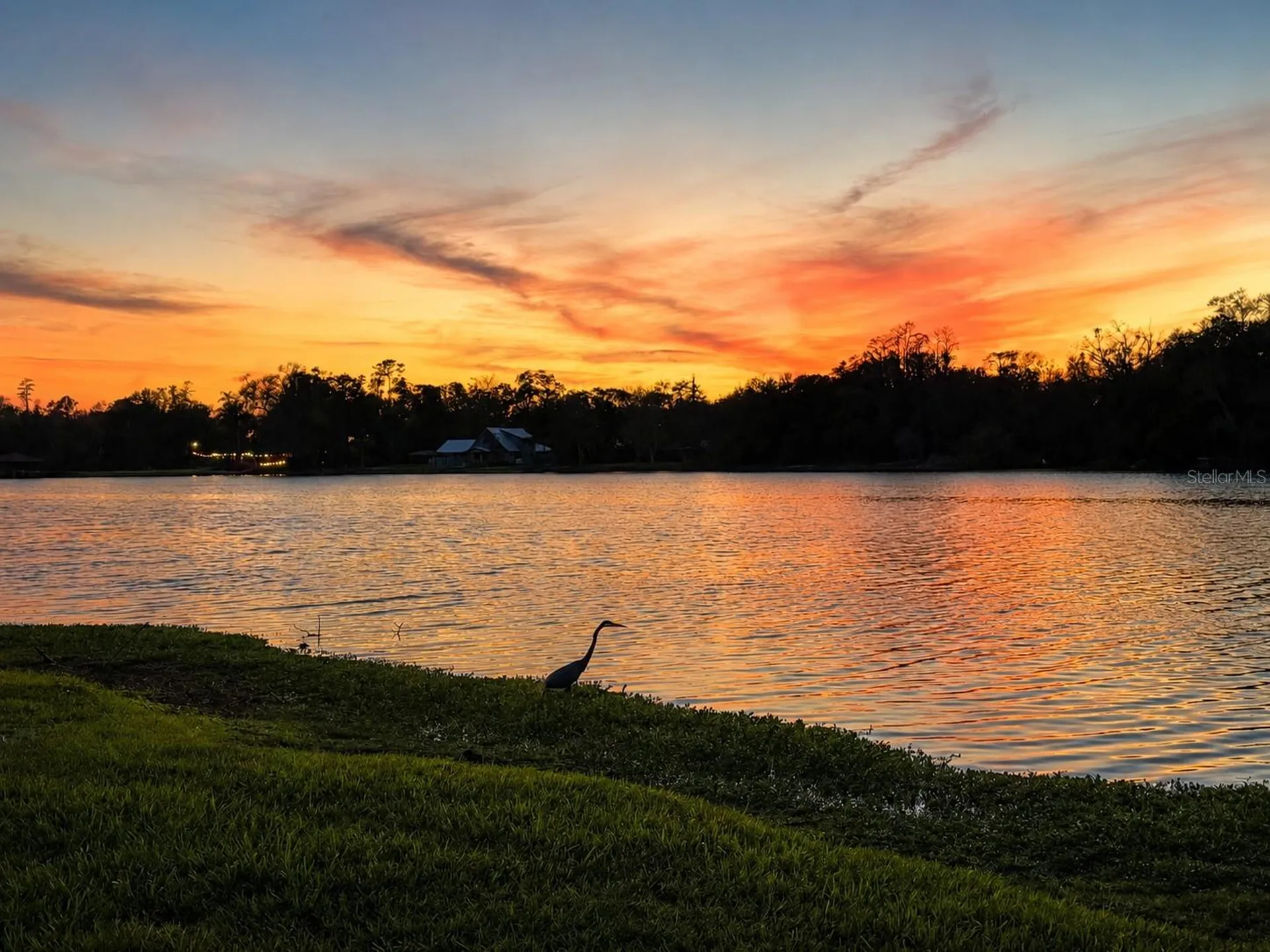 3330 Ehrlich Road Tampa FL 33618