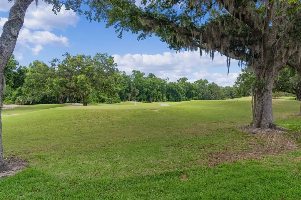 9429 San Miguel Howey In The Hills FL 34737