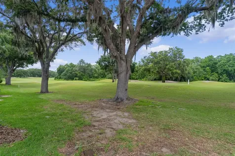 9429 San Miguel Howey In The Hills FL 34737