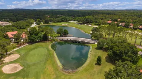 9429 San Miguel Howey In The Hills FL 34737