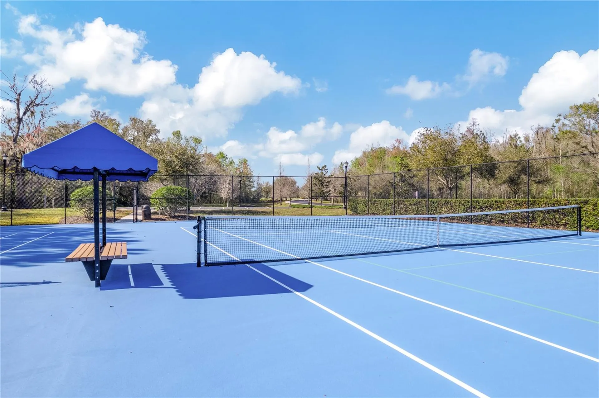 3019 Cordoba Ranch Boulevard Lutz FL 33559