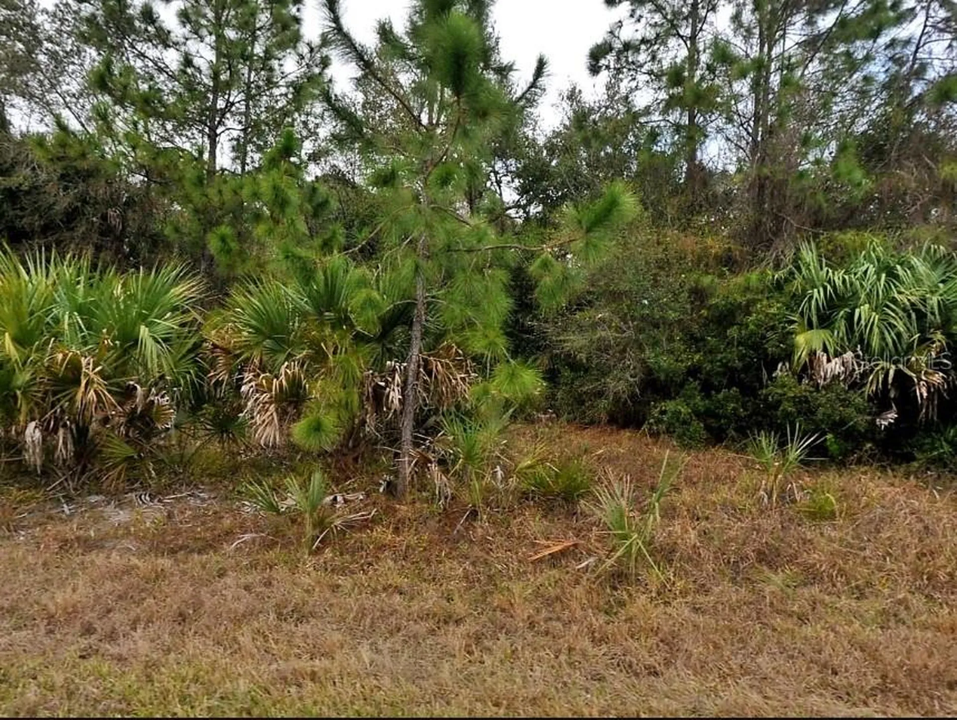 Van Leer Avenue North Port FL 34288