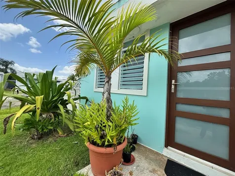 A-11 Cañuela Caguas PR 00725