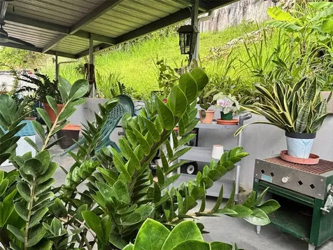 A-11 Cañuela Caguas PR 00725
