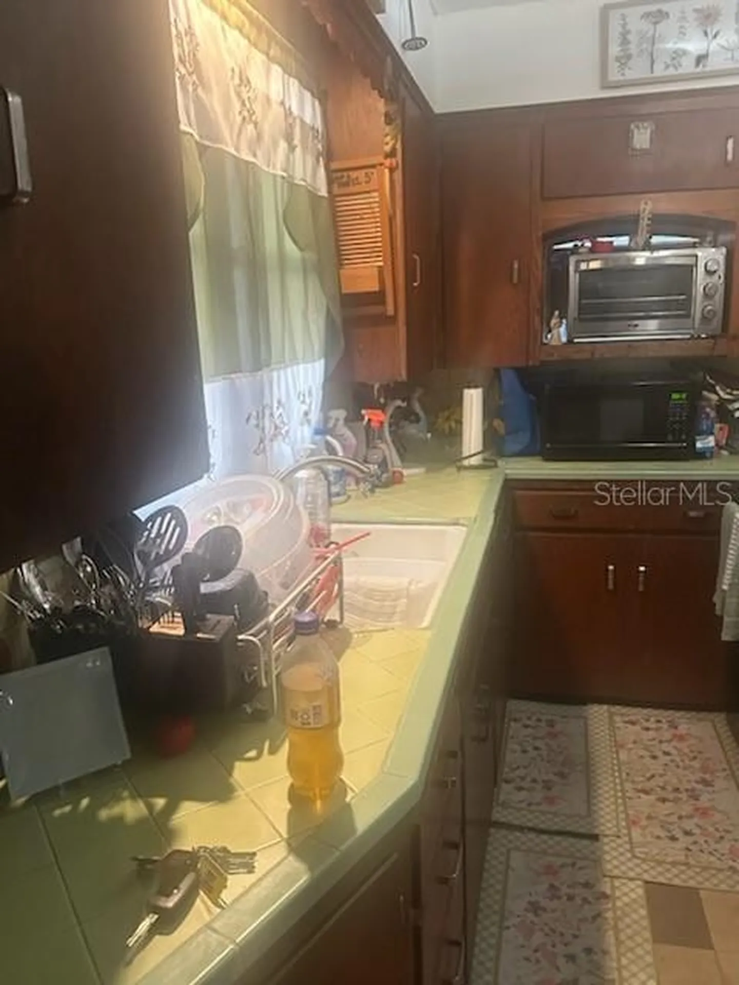 St Petersburg FL 33705