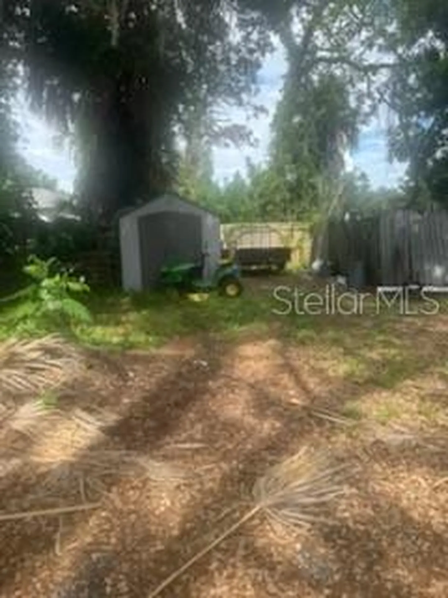 St Petersburg FL 33705