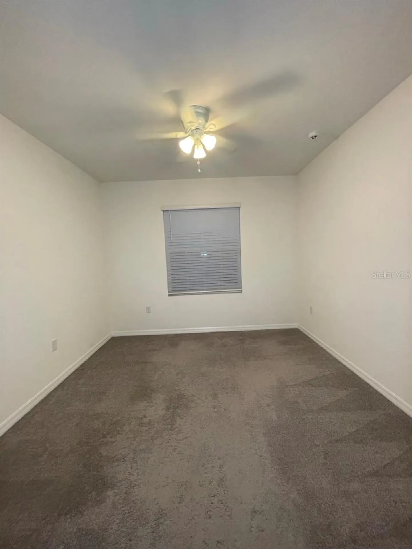 2883 Peony Prairie Lane Wesley Chapel FL 33543