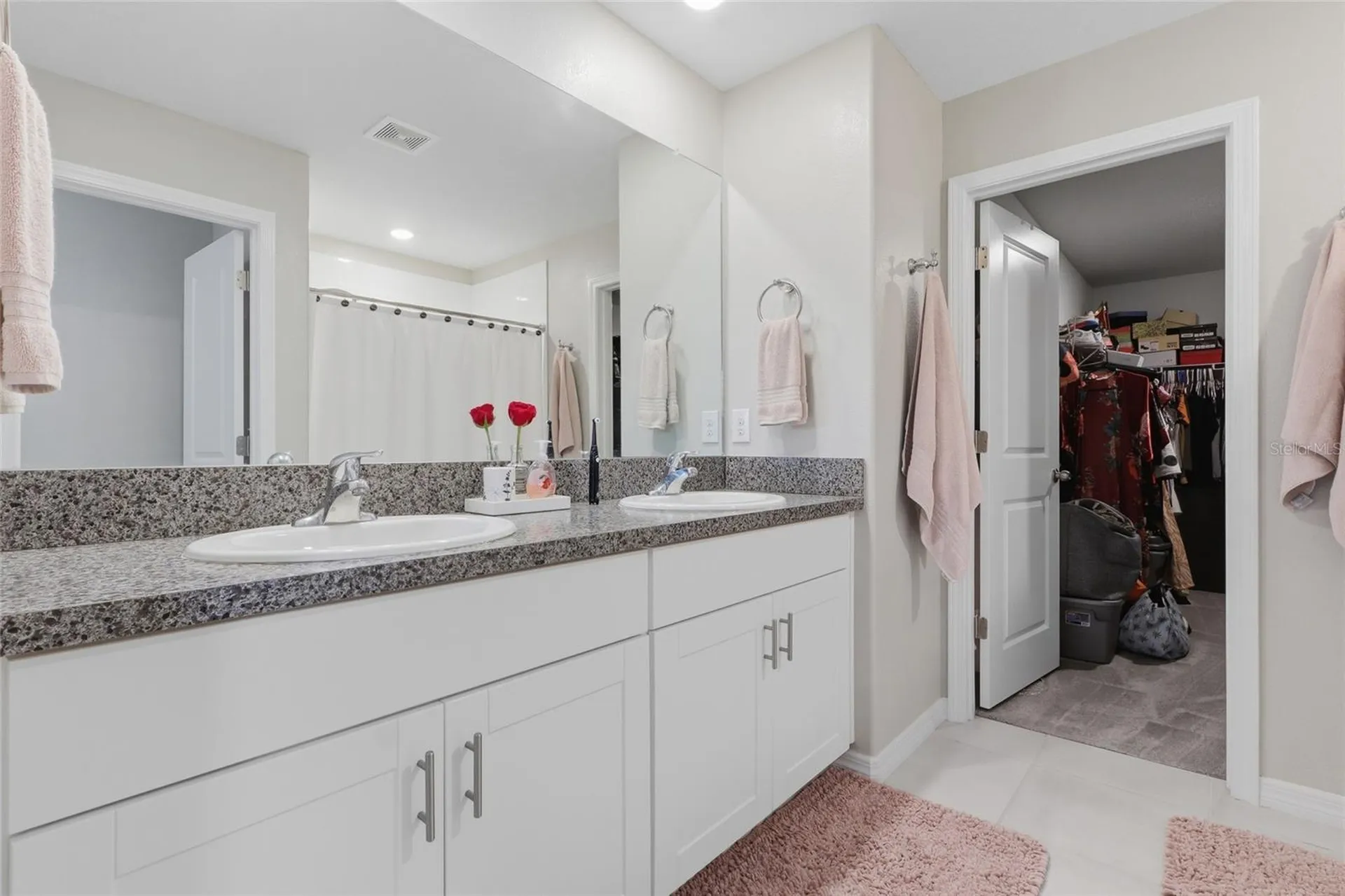 5052 White Chicory Drive Apollo Beach FL 33572