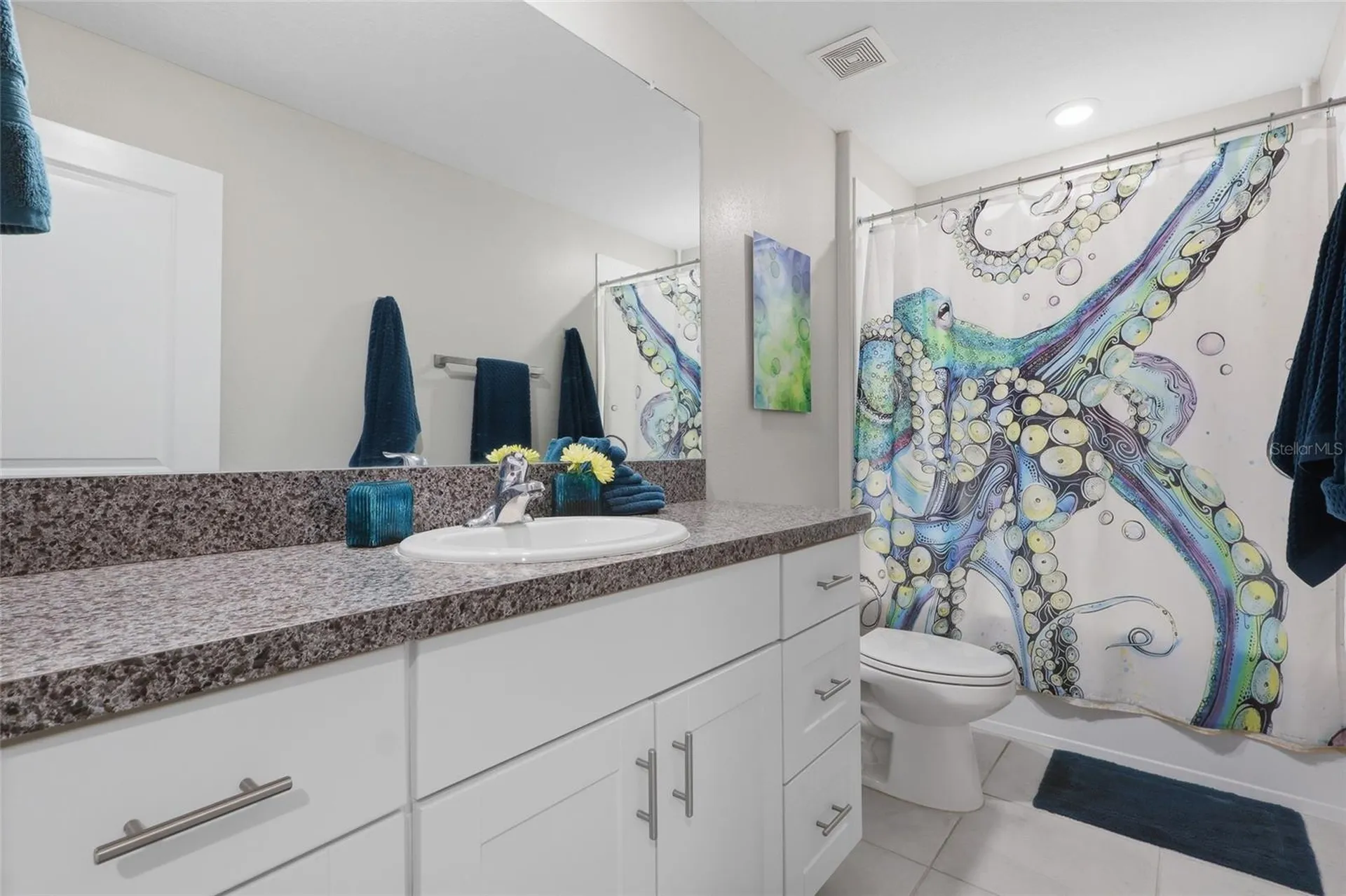 5052 White Chicory Drive Apollo Beach FL 33572