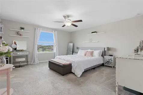 5052 White Chicory Drive Apollo Beach FL 33572