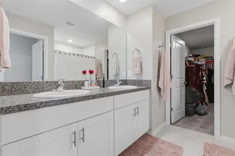 5052 White Chicory Drive Apollo Beach FL 33572