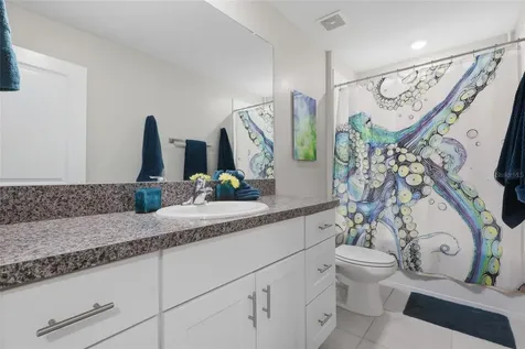 5052 White Chicory Drive Apollo Beach FL 33572